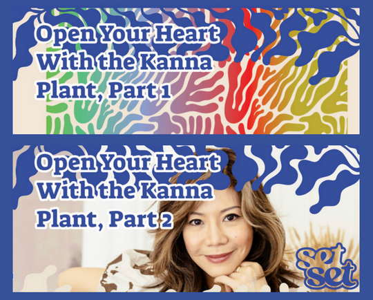 SetSet on 'opening your heart with the Kanna plant'