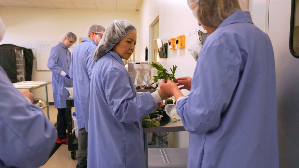 People in a laboratory setting wearing blue lab coats and hairnets.