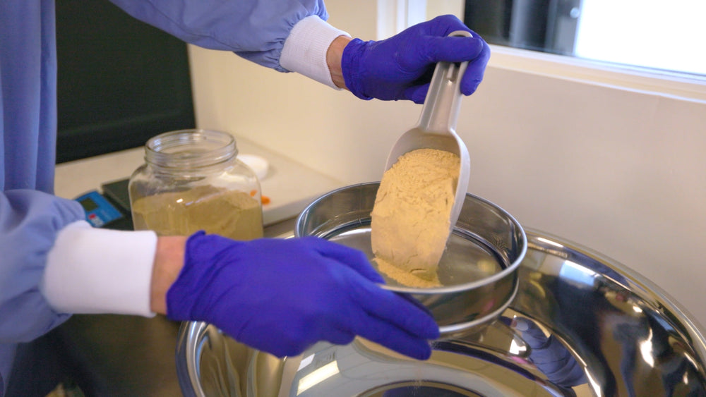 Person in blue gloves holding a metal scoop over a metal container with a yellow substance.